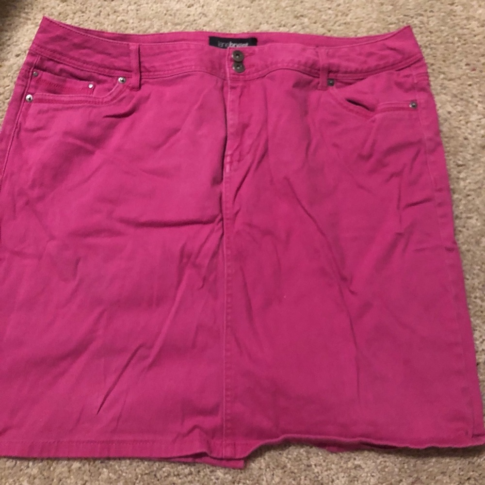 Pink Lane Bryant skirt